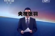 央视张羽是一个什么样的人，央视张羽