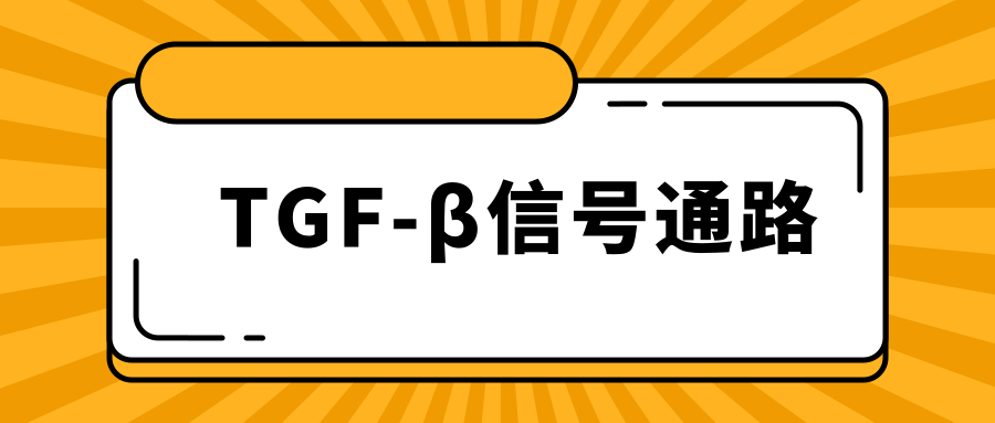 爱必信官网产品,爱必信 爱必信官网产品,爱必信