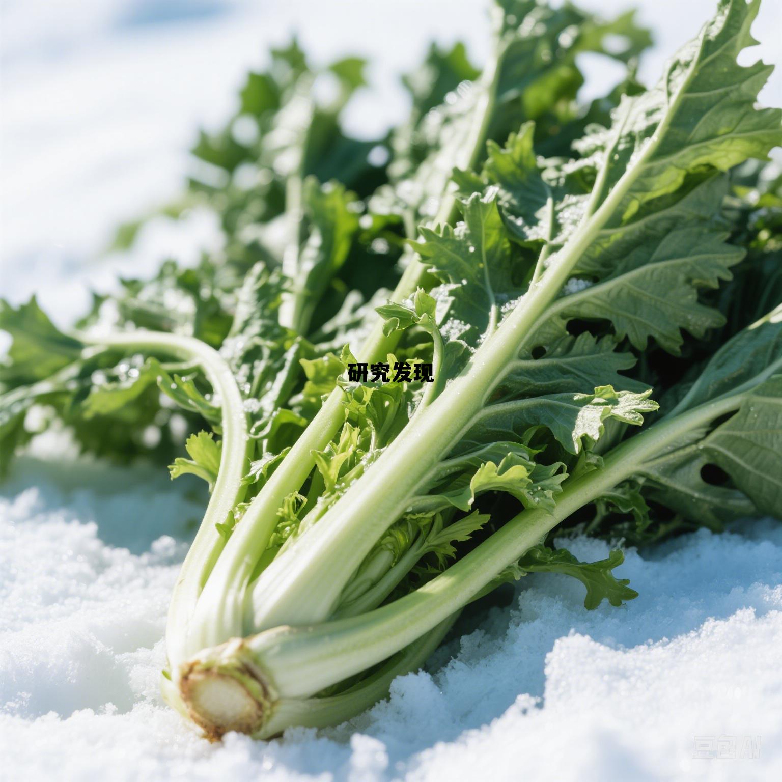 研究发现的英文,研究发现 研究发现的英文,研究发现