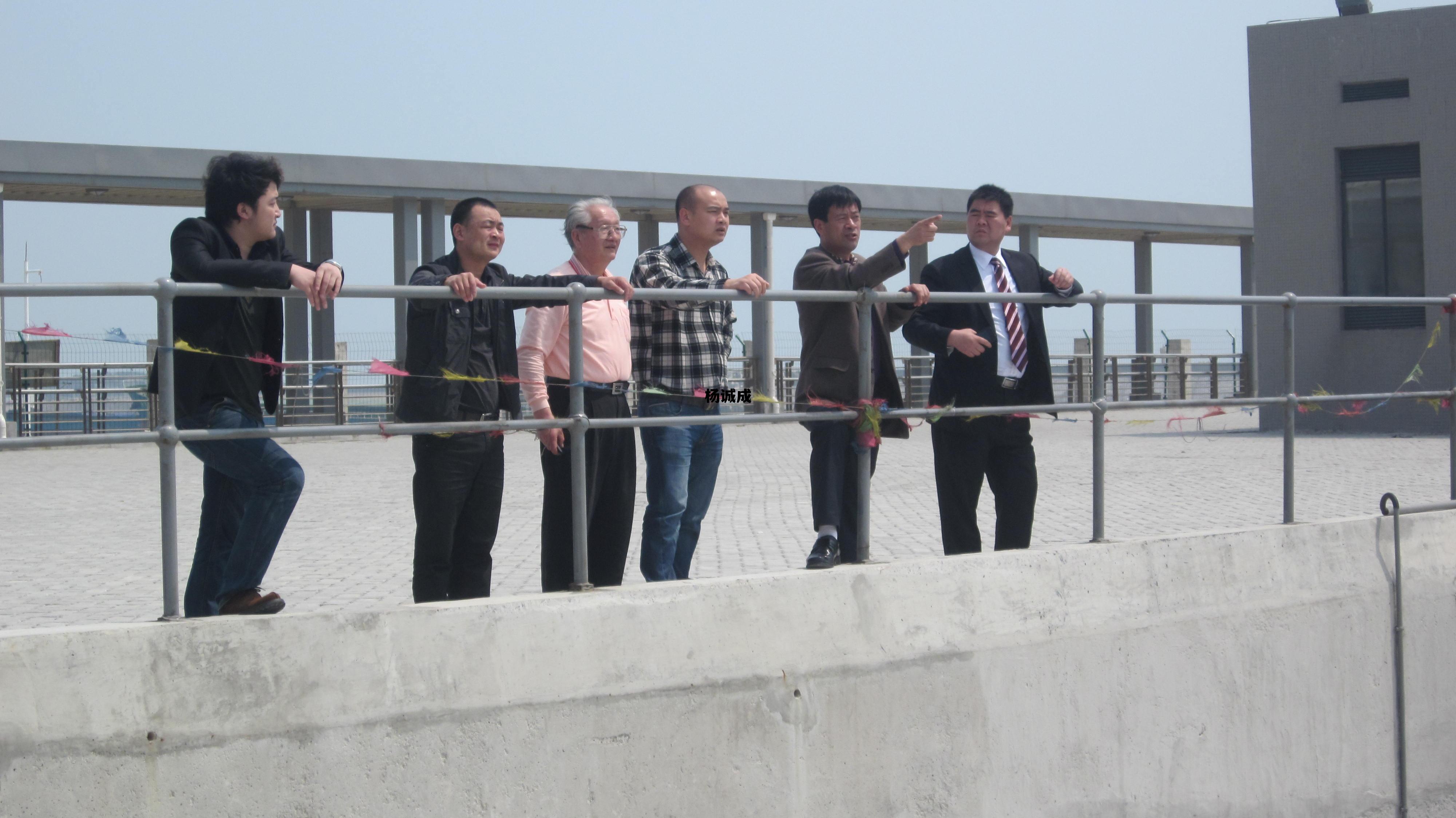 杨进明是谁的儿子，杨诚成