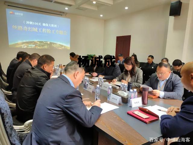 杨进明是谁的儿子，杨诚成