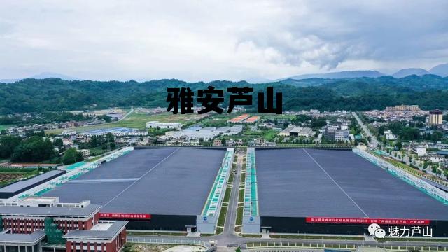 雅安到芦山县多少公里,雅安芦山 雅安到芦山县多少公里,雅安芦山