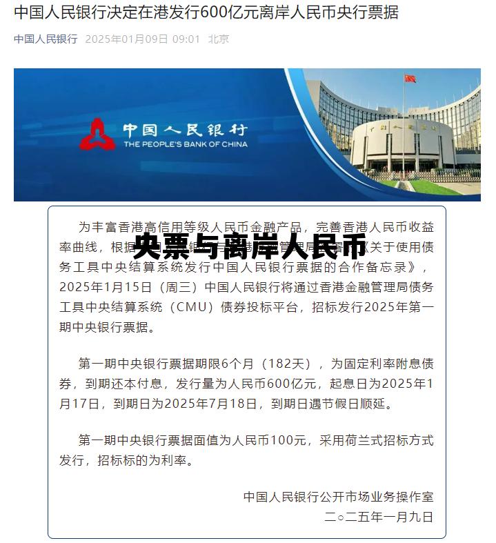 离岸人民币长什么样图片，央票与离岸人民币