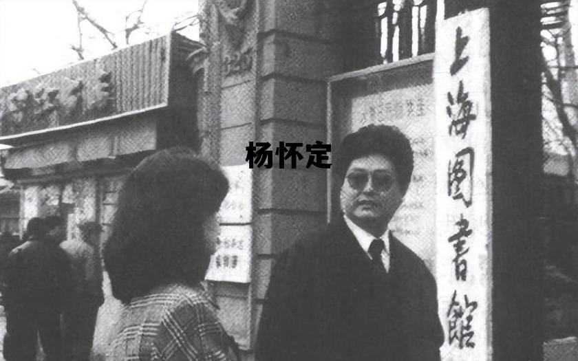 杨怀定身价是多少,杨怀定 杨怀定身价是多少,杨怀定